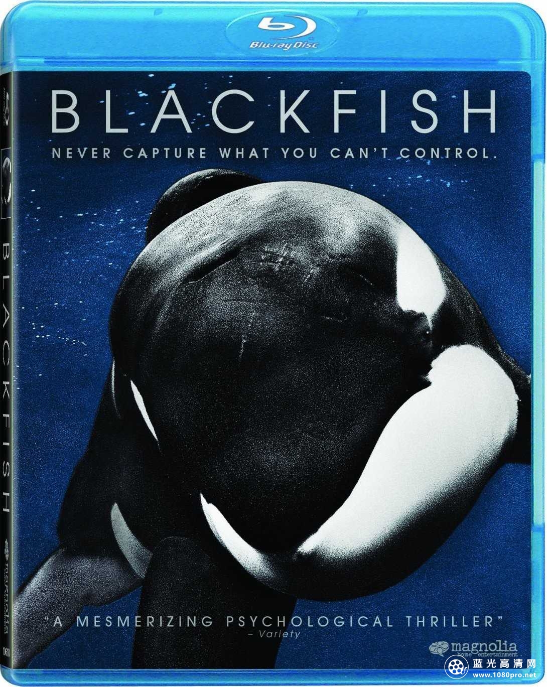 黑鲸鱼/黑鲸 Blackfish.2013.Bluray.720p.x264.DTS-HDWinG 3.96GB-1.jpg