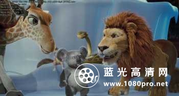 狂野大自然/野蛮任务 The Wild 2006 BluRay 720p DTS x264 MgB 3.57GB-8.jpg