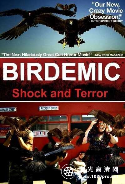 群鸟:震惊和恐怖 Birdemic.Shock.And.Terror.2008.720p.BluRay.x264-PHOBOS 4.37GB-1.jpg