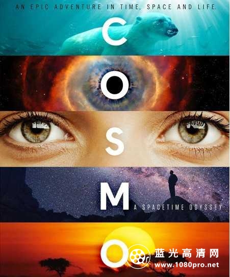 宇宙:时空之旅 Cosmos.A.SpaceTime.Odyssey.2014.BluRay.720p.x264-HDWinG 29GB-1.jpg