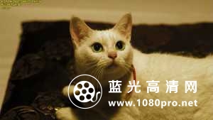 猫侍 剧场版 Samurai.Cat.2014.720p.BluRay.x264-WiKi 5.02GB-4.jpg
