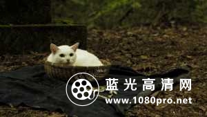 猫侍 剧场版 Samurai.Cat.2014.720p.BluRay.x264-WiKi 5.02GB-12.jpg