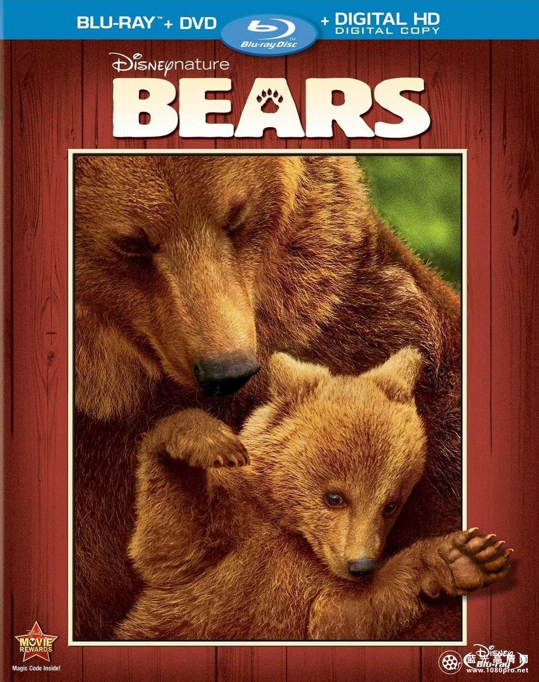 熊/阿拉斯加的棕熊/熊世界 Bears.2014.720p.BluRay.x264.DTS-RARBG 3.82GB-1.jpg