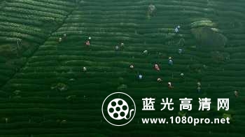 看见台湾 Beyond.Beauty.Taiwan.from.Above.2013.BluRay.720p.x264.DTS-HDWinG 9.11GB-6.jpg