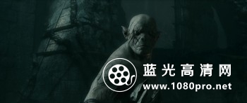 霍比特人2: 史矛革之战 [美版加长版] 2013 BluRay 720p DTS x264-CHD 9.5 G-3.jpg