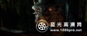 霍比特人2: 史矛革之战 [美版加长版] 2013 BluRay 720p DTS x264-CHD 9.5 G-7.jpg