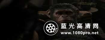 猩球崛起2:黎明之战 Dawn.of.the.Planet.of.the.Apes.2014.720p.Bluray.x264.DTS-EVO 6.34G-6.jpg
