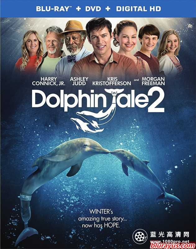 海豚的故事2/一只海豚的传说2 Dolphin.Tale.2.2014.720p.BluRay.x264-GECKOS 5.52GB-1.jpg