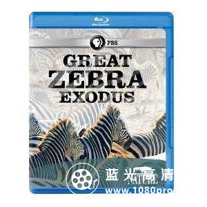Nature.Great.Zebra.Exodus.2013.720p.BluRay.x264-SADPANDA 2.19GB-1.jpg