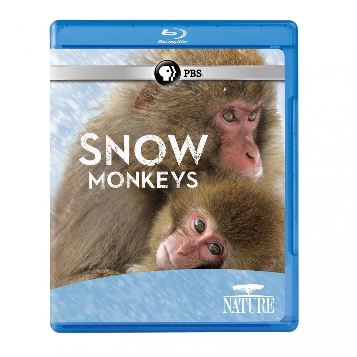 Nature.Snow.Monkeys.2014.720p.BluRay.x264-SADPANDA 2.19GB-1.jpg
