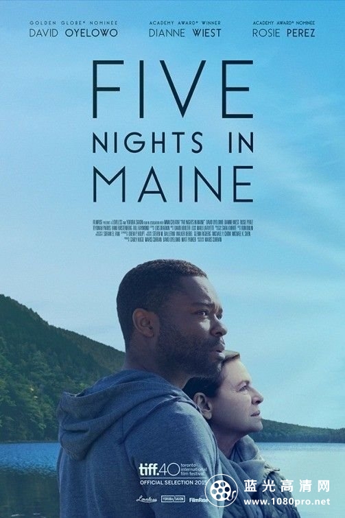 在缅因的五夜/爱在缅因州 Five.Nights.in.Maine.2015.1080p.BluRay.REMUX.AVC.DD5.1-FGT 17.20GB-1.jpg