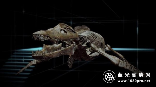雷克斯海3D:史前世界/海中霸王龙 Sea.Rex.Journey.To.A.Prehistoric.World.2010.1080p.BluRay.x264-AiHD 3.28GB-7.png