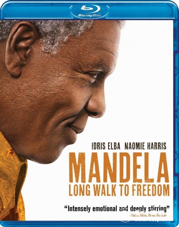 曼德拉:漫漫自由路(含花絮)Mandela Long Walk to Freedom 2013 BDRip 1080p x264 DTS extras-High-1.jpg