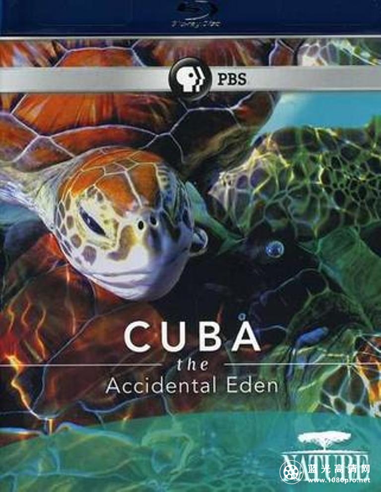 古巴:意外的伊甸园/古巴:未知的天堂 PBS.Nature.Presents.Cuba.The.Accidental.Eden.2010.1080p.BluRay.x264-SEMTEX 4.37GB-1.png
