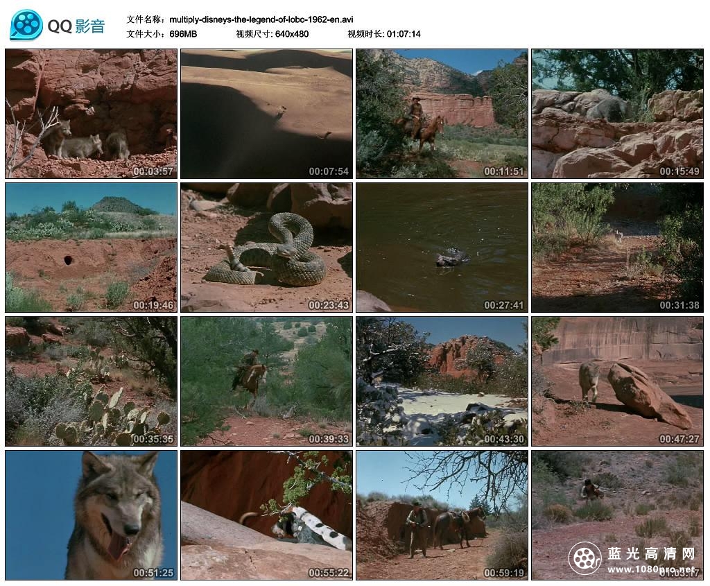 狼的传说 The.Legend.Of.Lobo.1962.1080p.AMZN.WEBRip.DDP2.0.x264-QOQ 7.12GB-1.png