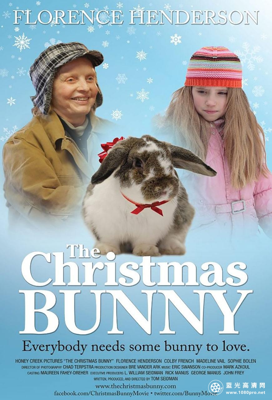 圣诞兔子 The.Christmas.Bunny.2010.1080p.AMZN.WEBRip.AAC2.0.x264-FGT 3.66GB-1.png