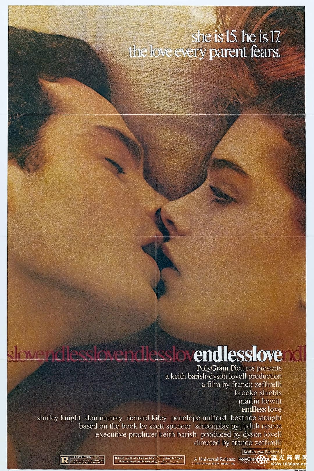无尽的爱 Endless.Love.1981.1080p.BluRay.x264-PSYCHD 12.03GB-1.png