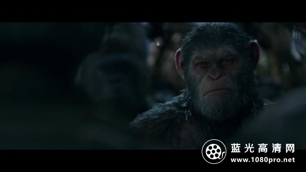 猩球崛起3:终极之战/猩球崛起:终极决战 War.for.the.Planet.of.the.Apes.2017.1080p.BluRay.REMUX.AVC.DTS-HD.MA.7.1-FGT 30.62GB-3.png