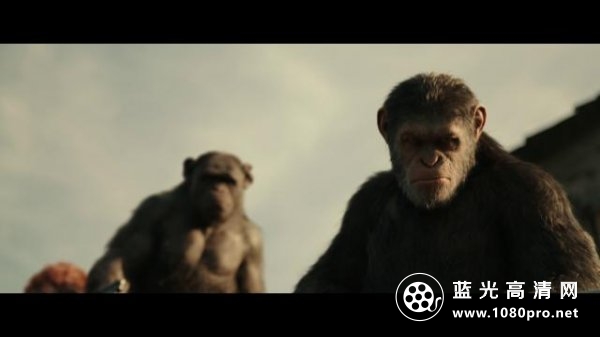 猩球崛起3:终极之战/猩球崛起:终极决战 War.for.the.Planet.of.the.Apes.2017.1080p.BluRay.REMUX.AVC.DTS-HD.MA.7.1-FGT 30.62GB-7.png
