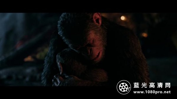 猩球崛起3:终极之战/猩球崛起:终极决战 War.for.the.Planet.of.the.Apes.2017.1080p.BluRay.REMUX.AVC.DTS-HD.MA.7.1-FGT 30.62GB-6.png