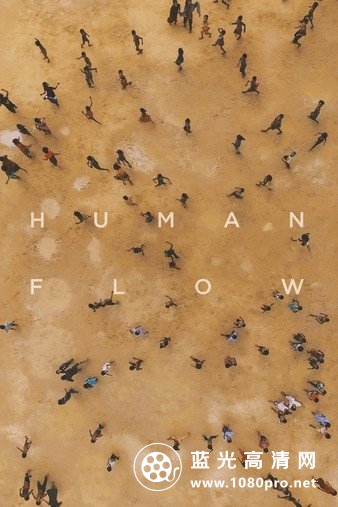 人流/人口流动 Human.Flow.2017.1080p.BluRay.REMUX.AVC.DTS-HD.MA.5.1-FGT 28.69GB-1.jpg