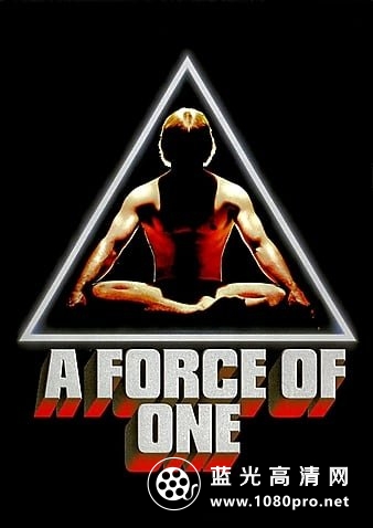 一人行动/点指贼贼 A.Force.of.One.1979.1080p.BluRay.REMUX.AVC.DTS-HD.MA.5.1-FGT 16.57GB-1.jpg