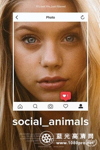 社交动物 Social.Animals.2018.1080p.BluRay.REMUX.AVC.DTS-HD.MA.5.1-FGT 20.31GB-1.jpg