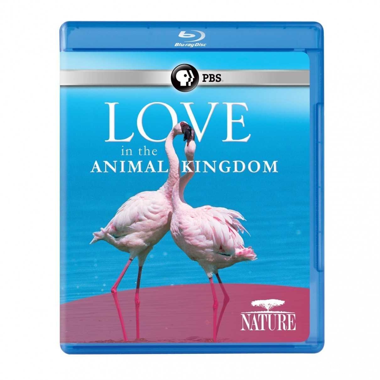Nature.Love.in.the.Animal.Kingdom.2013.720p.BluRay.x264-SADPANDA 2.19GB-1.jpg