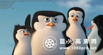 马达加斯加的企鹅 Penguins.of.Madagascar.2014.BluRay.720p.DTS.x264-MgB 3.59GB-6.jpg