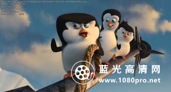 马达加斯加的企鹅 Penguins.of.Madagascar.2014.BluRay.720p.DTS.x264-MgB 3.59GB-8.jpg