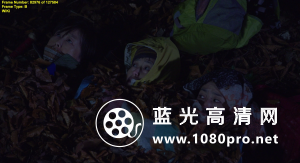 去见瀑布[内封中文字幕].Go.See.the.Fall.2014.720p.BluRay.x264-WiKi 5.3GB-7.png