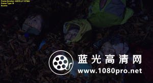 去见瀑布[内封中文字幕].Go.See.the.Fall.2014.720p.BluRay.x264-WiKi 5.3GB-6.png