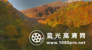 去见瀑布[内封中文字幕].Go.See.the.Fall.2014.720p.BluRay.x264-WiKi 5.3GB-10.png