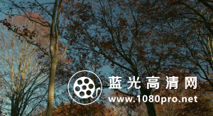 去见瀑布[内封中文字幕].Go.See.the.Fall.2014.720p.BluRay.x264-WiKi 5.3GB-13.png