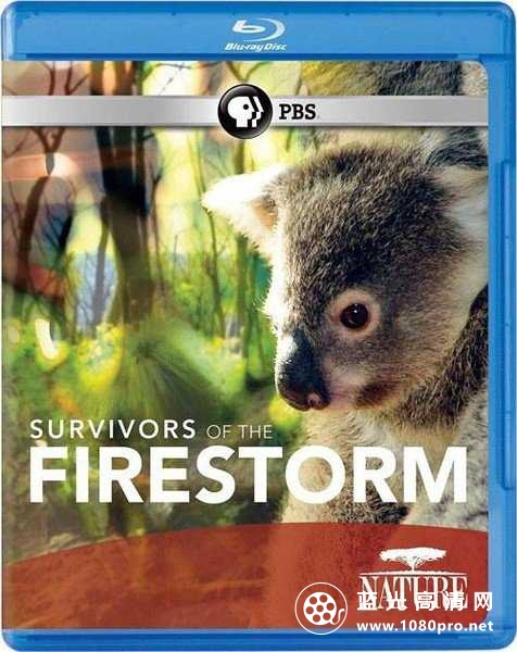 自然:大火幸存者 Nature.Survivors.of.the.Firestorm.2011.720p.BluRay.x264-SADPANDA 2.18GB-1.jpg