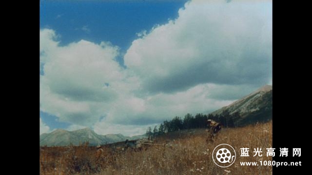 加勒比人的踪迹 The.Cariboo.Trail.1950.1080p.BluRay.REMUX.AVC.DTS-HD.MA.2.0-FGT 16.01GB-4.png