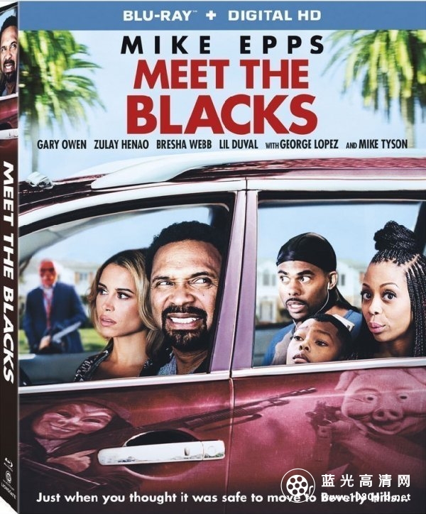 拜见布莱克一家 Meet.the.Blacks.2016.720p.BluRay.DTS.x264-HDS 3.55GB-1.jpg