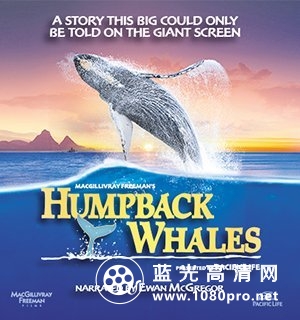 座头鲸 Humpback.Whales.2015.720p.BluRay.x264-GUACAMOLE 1.45GB-1.jpg