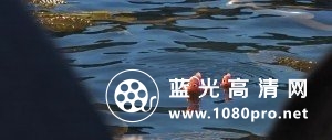 海底总动员2:多莉去哪儿 inding.Dory.2016.720p.BluRay.DTS.x264-iFT 4.48GB-4.jpg