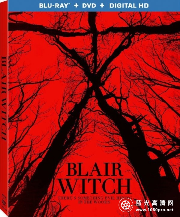 布莱尔女巫 Blair.Witch.2016.720p.BluRay.DD5.1.x264-iFT 4.78GB-1.jpg