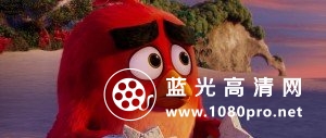 愤怒的小鸟 The.Angry.Birds.Movie.2016.BluRay.720p.DTS.AC3.x264-ETRG 3.6GB-5.jpg