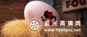 愤怒的小鸟 The.Angry.Birds.Movie.2016.BluRay.720p.DTS.AC3.x264-ETRG 3.6GB-8.jpg