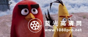 愤怒的小鸟 The.Angry.Birds.Movie.2016.BluRay.720p.DTS.AC3.x264-ETRG 3.6GB-10.jpg