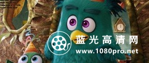 愤怒的小鸟 The.Angry.Birds.Movie.2016.BluRay.720p.DTS.AC3.x264-ETRG 3.6GB-13.jpg