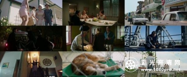 一条狗的使命/为了与你相遇 A.Dogs.Purpose.2017.720p.BluRay.X264-AMIABLE 4.39GB-2.jpg