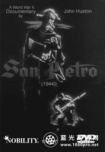 圣·彼得洛战役/圣·彼得洛 San.Pietro.1945.720p.BluRay.x264-SADPANDA 1.08GB-1.jpg