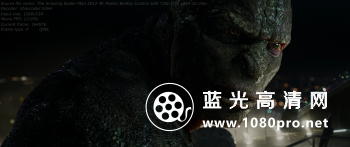 超凡蜘蛛侠 2012 4K Master BluRay Custom Edit 720p DTS x264-3Li 6.30G-9.jpg