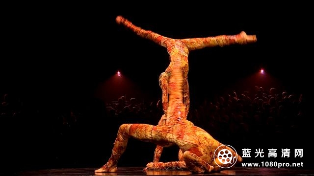 太阳剧团:浪迹天涯/太阳马戏团:浪迹天涯 Cirque.du.Soleil.Kooza.2008.1080p.AMZN.WEBRip.DDP5.1.x264-monkee 9.49GB-4.png