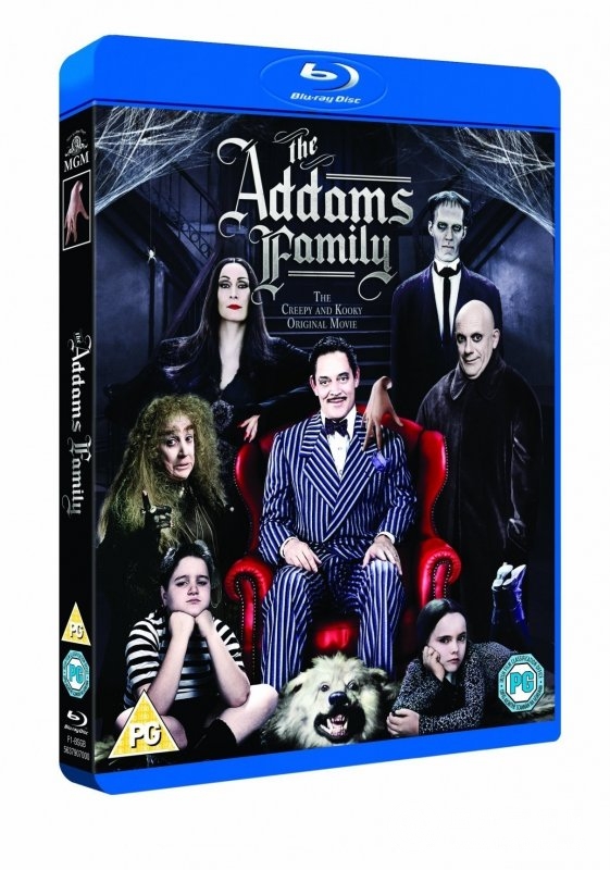 亚当斯一家 The Addams Family 1991 BluRay 720p DTS x264-CHD 5.04G-1.jpg