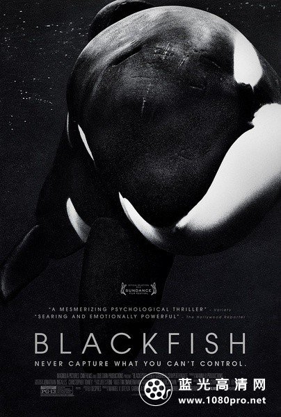 黑鲸鱼 Blackfish.2013.LIMITED.720p.BluRay.x264-GECKOS 3.27G-1.jpg